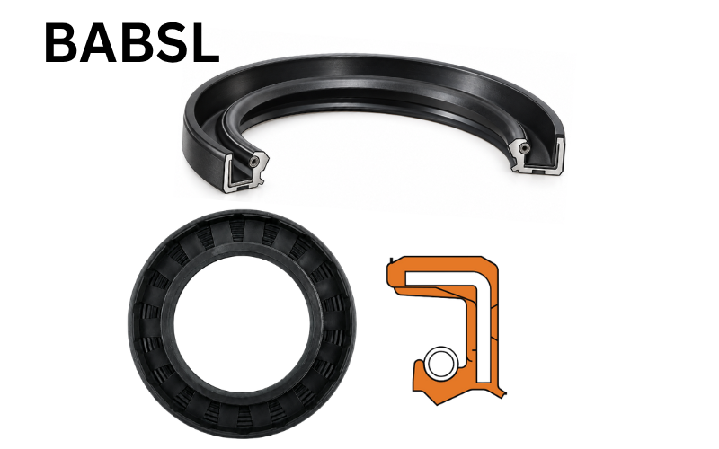BABSL Profile