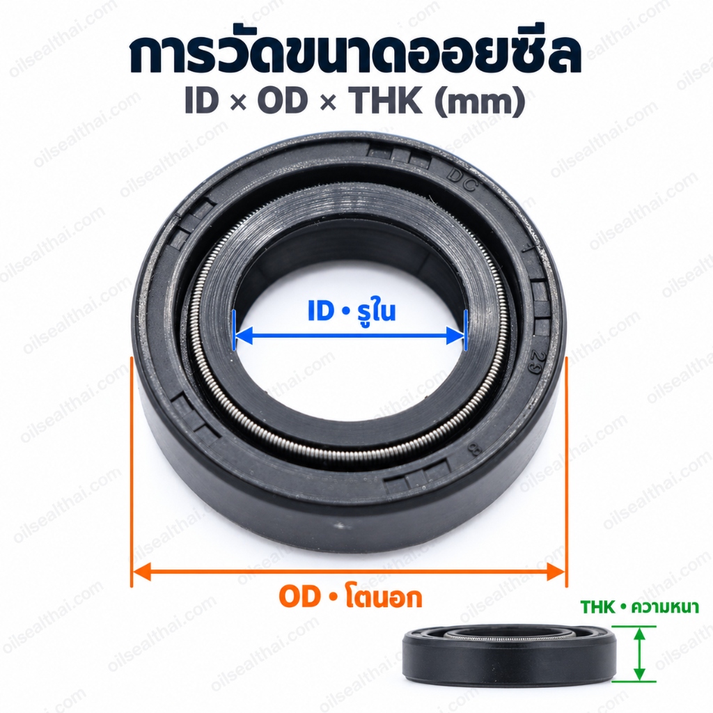 คู่มือวัดขนาด