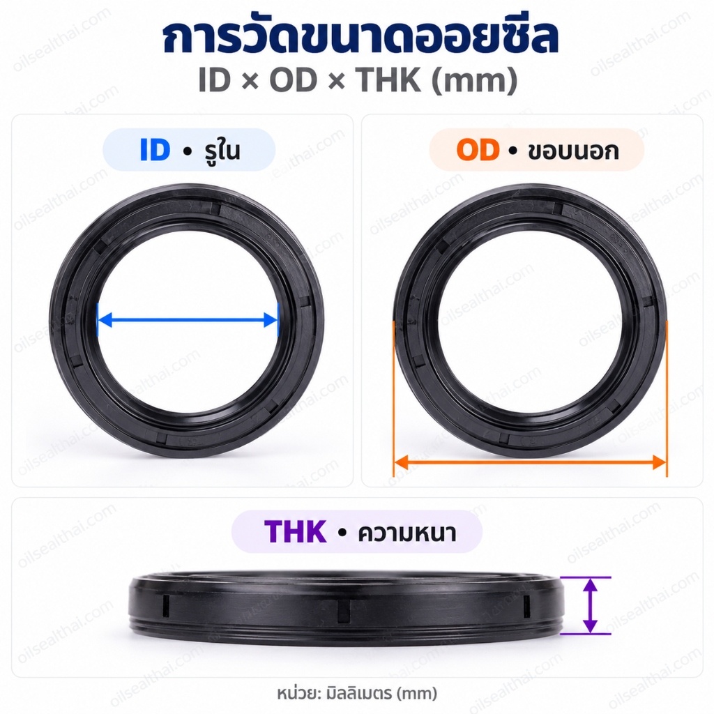 คู่มือวัดขนาด