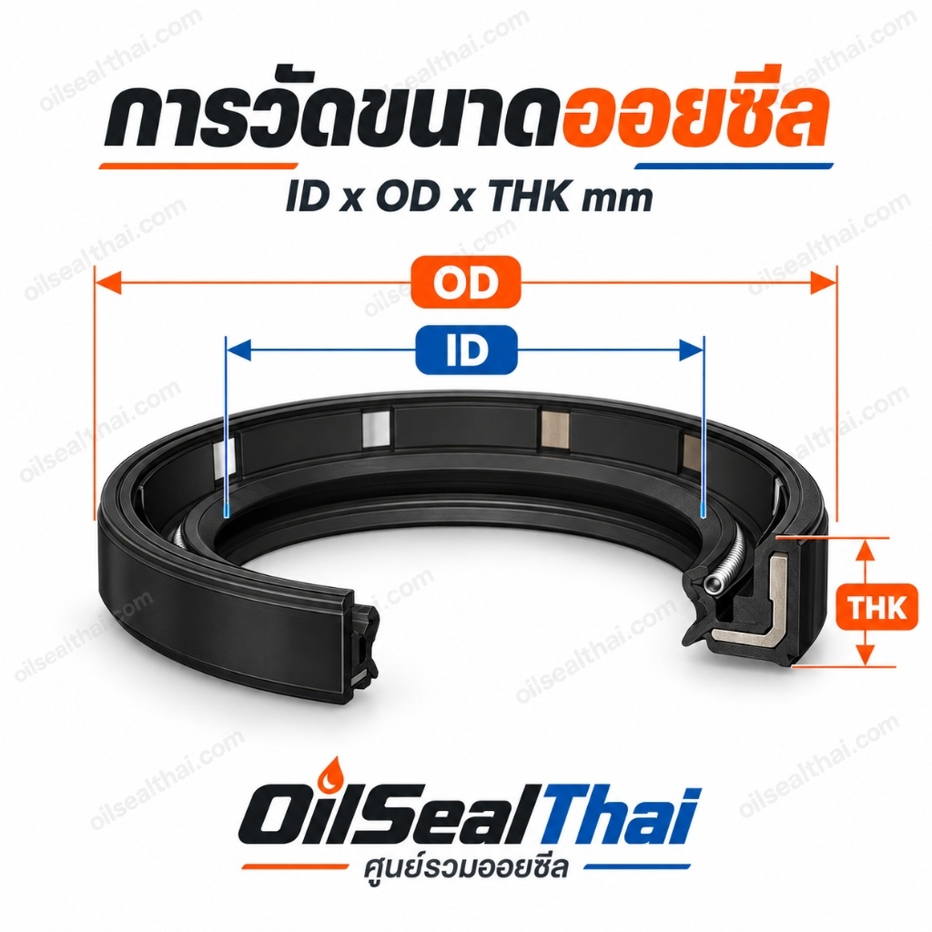 คู่มือวัดขนาด