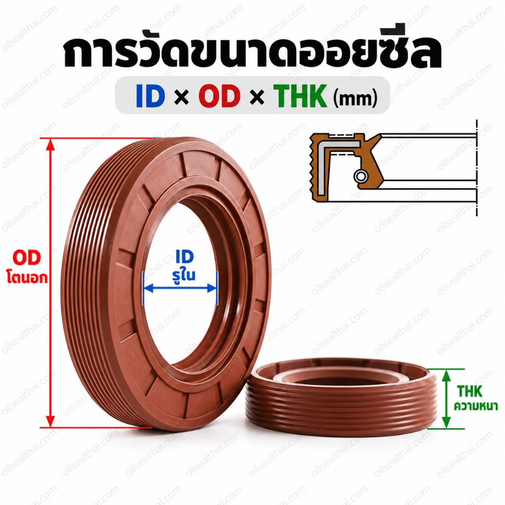 คู่มือวัดขนาด