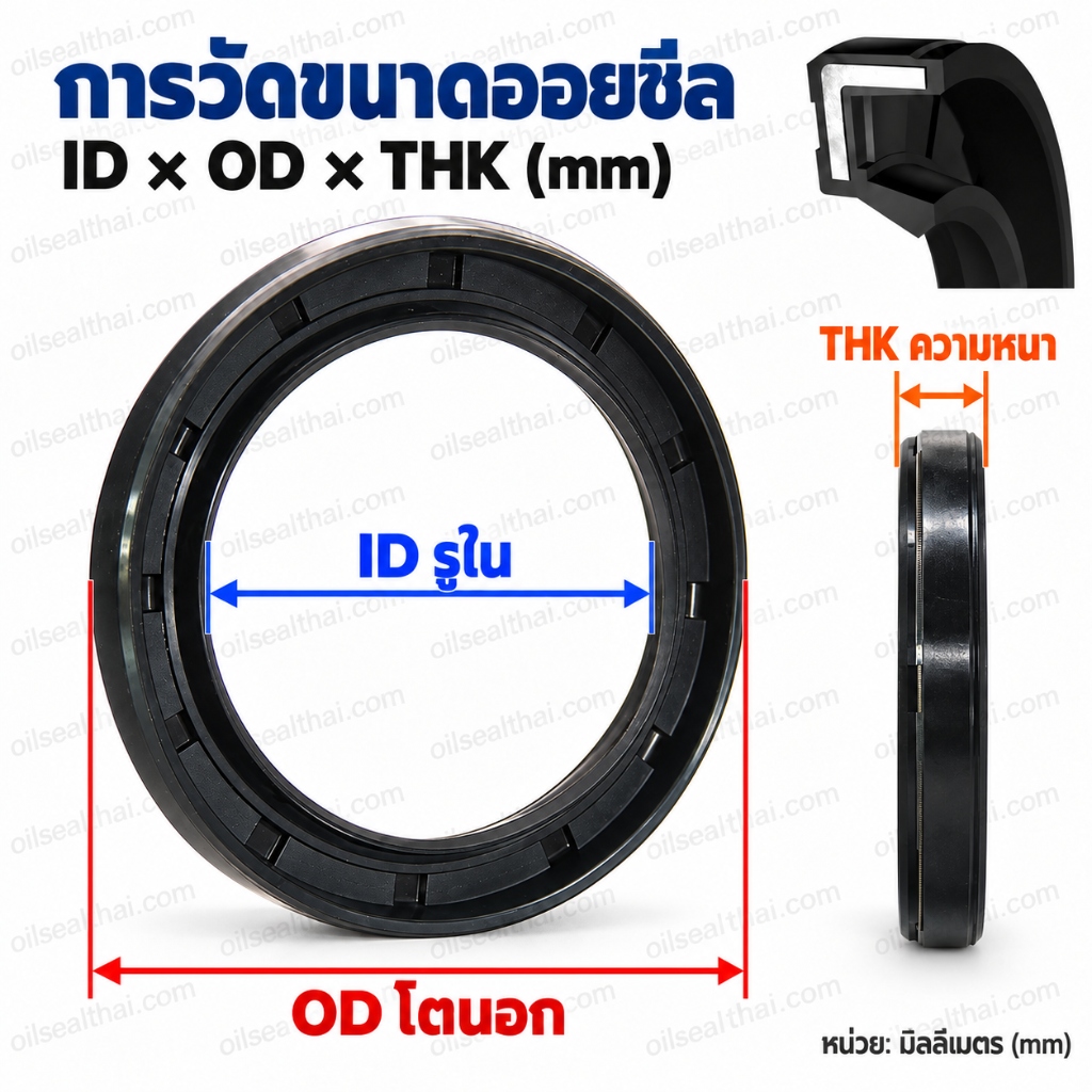 คู่มือวัดขนาด